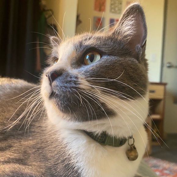 Meet your Posher, Katherine - Picture 2 of 3